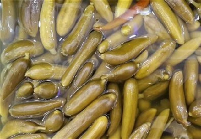 خیارشور | خیارشور مناسب تهیه انواع غذا و سالاد